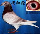 Ϻ-Ԫϵһ21000鳲08괺6611괺4ۺ6111㽭ʡ600210 